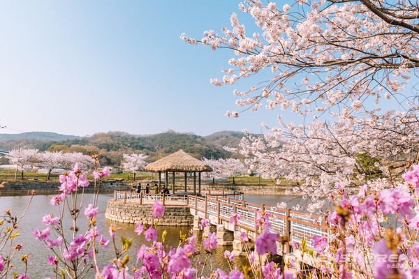 당진 면천읍성 골정지 @충청남도