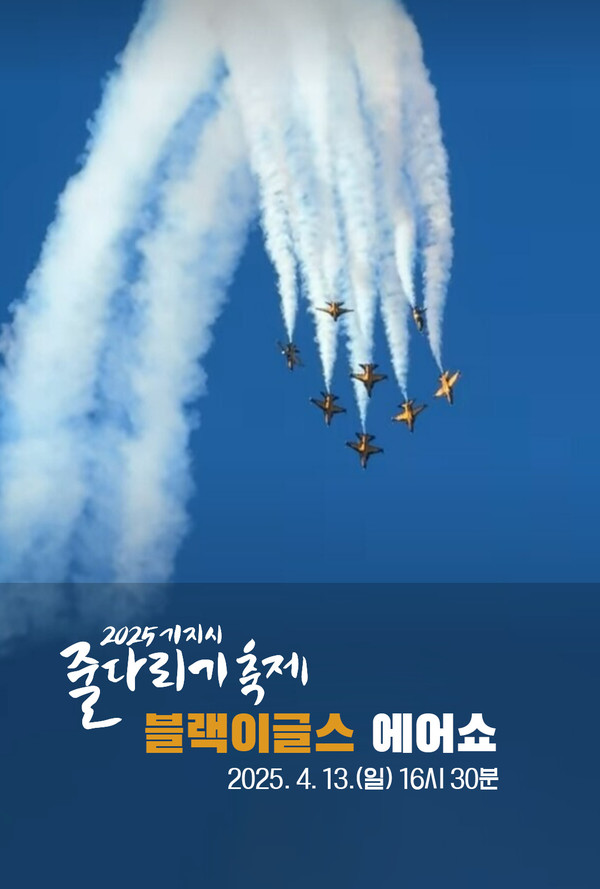 공군 블랙이글스 에어쇼 @당진시