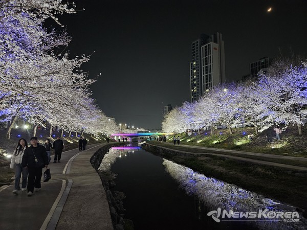 천안 벚꽃길 야관경관 조성 @천안시