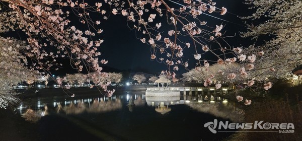 면천읍성 @당진시