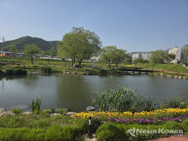 화순군 봄꽃 축제가 열리던 꽃강 산책로를 걸어봤다. @뉴스코리아 최신 기자