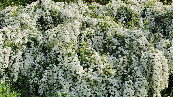 제목 : 산다는 것 @뉴스코리아 신종국 기자