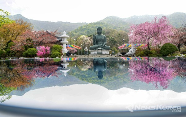 천안 각원사 @충청남도