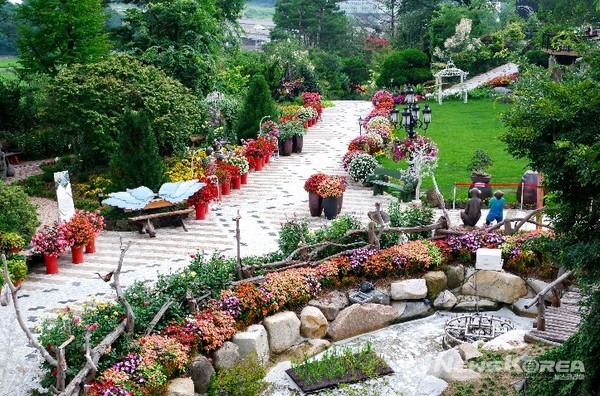 천안 화수목 @충청남도