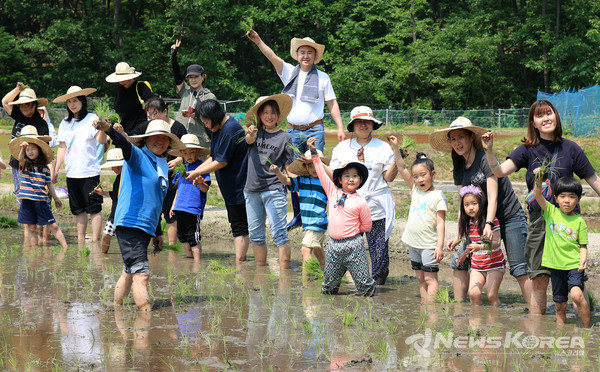 ▲오언석 도봉구청장과 구민들이 전통 손 모내기 체험을 하고 있다(2025. 5. 30. 무수골 친환경 논 체험장)(사진 가운데 오언석 도봉구청장) @도봉구