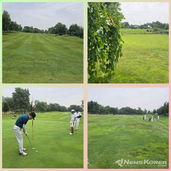 ▲참가자들은 18홀 전 코스를 돌며 진지한 플레이와 함께 유쾌한 분위기 속에서 대회를 즐겼다. 페어플레이와 친목이 어우러진 가운데 라운딩은 신페리오 방식으로 진행됐다. @뉴스코리아 신현권 동포기자