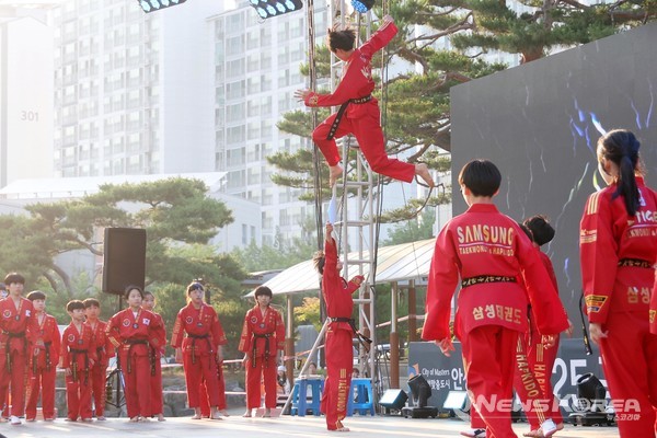 제9회 공도문화축제 힐링 콘서트 @공도문화축제위원회