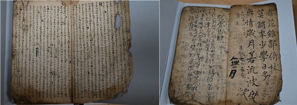 3. 부여 강동공일기 @충청남도