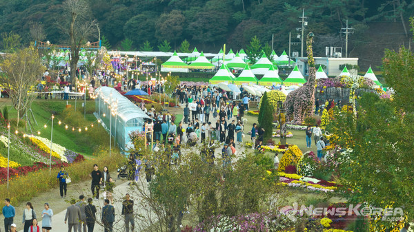 2024 화순 가을꽃 축제 @화순군