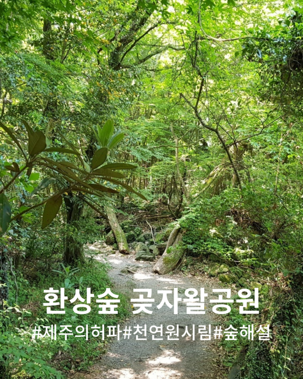 환상숲 곶자왈 공원 @제주관광공사