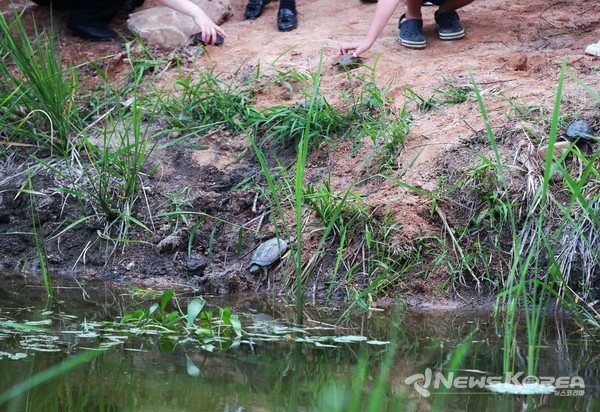 남생이 방생 행사 @당진시