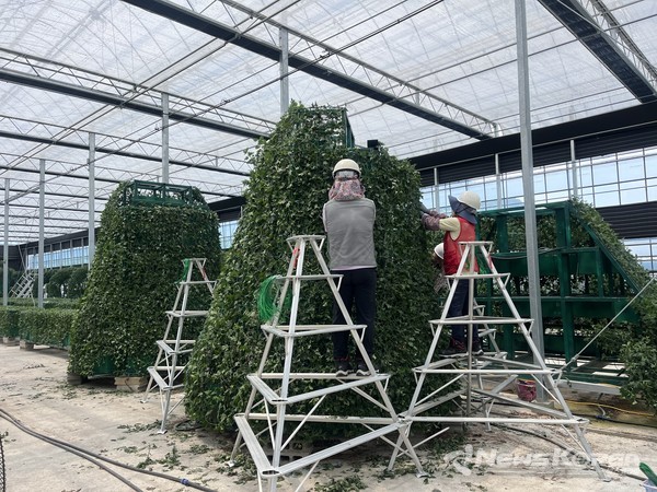 화순군이 가을꽃 축제 준비에 나섰다. @화순군