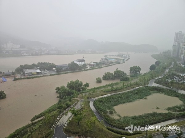 집중 호우로 논밭등이 침수된 아산시 배방읍 현장 @독자제공
