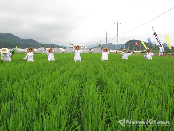 2025년 우봉들소리 민속공연(본공연) @화순군