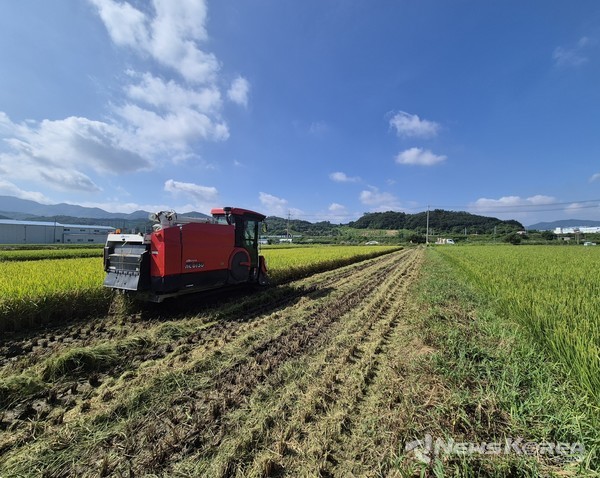 충북 음성군, 감곡면에서 올해 ‘첫 벼베기’ 실시 @음성군