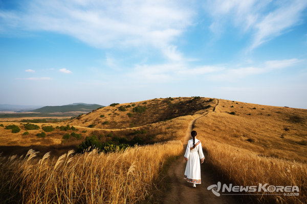 따라비억새 @제주관광공사