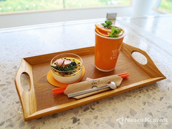 더콘테나 @제주관광공사