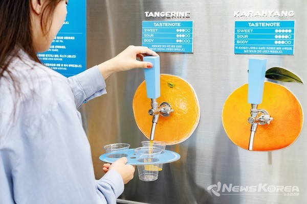 귤메달 @제주관광공사