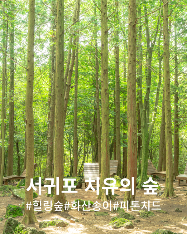 서귀포 치유의 숲 @제주관광공사