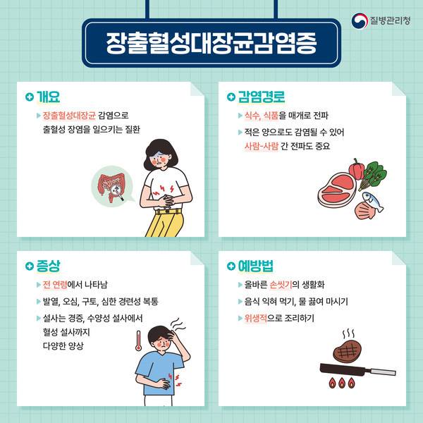 장출혈성대장균감염증 증상 @질병관리청
