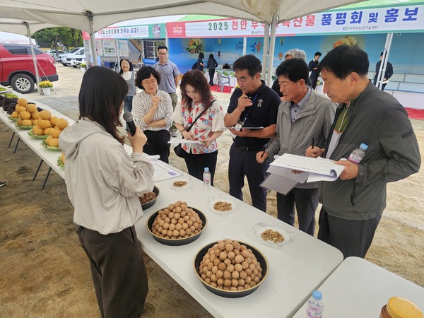 천안시농업기술센터가 우수농산물 품평회를 진행하고 있다. @천안시