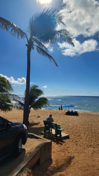 하와이 오하우 소재 한 유명 해변에서 관광객이 주차 후 아름다운 해변 정취 감상 삼매경에 빠져있다. 해변 등 관광지에 주차 시 예비 차 키나 지갑, 가방 등 귀중품은 차량 내에 두지 말고 반드시 외부 안전장소에 보관해야 절도피해를 막을 수있다.  @뉴스코리아 김찬훈 특파원