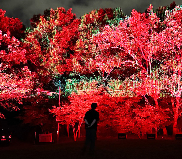 사진제공 : 이진준 (https://leejinjoon.com/), 성남문화재단