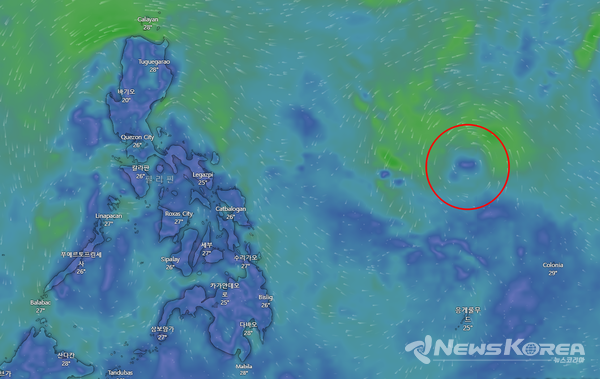 필리핀 기상청(DOST-PAGASA)은 30일 오후 2시, 필리핀 관할 구역(PAR) 외부 해상에서 새로운 저기압 영역(LPA 09g)이 관측되고 있다고 밝혔다. @Windy.com