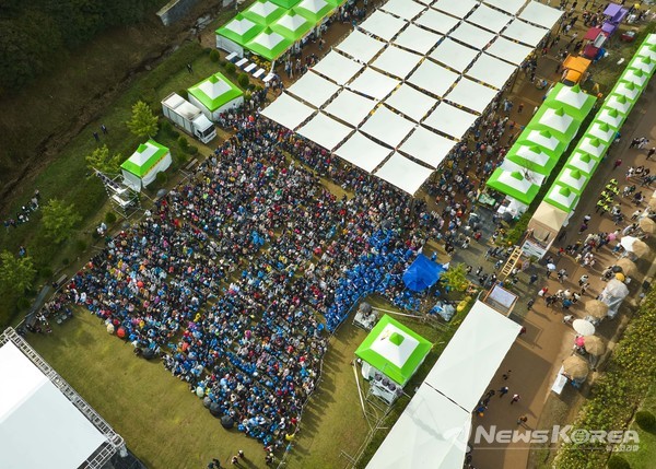 2024 화순 고인돌 가을꽃 축제(DM콘서트) @화순군