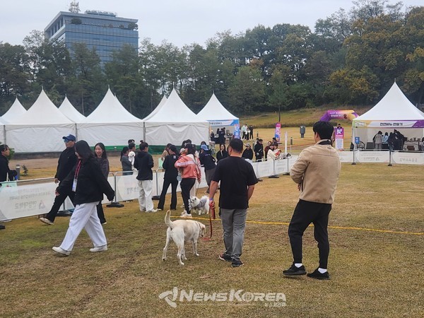 천안시민과 함께하는  K-DOG FESTIVAL 2025 행사장에 참석한 견주와 애견 @뉴스코리아 김현미 기자