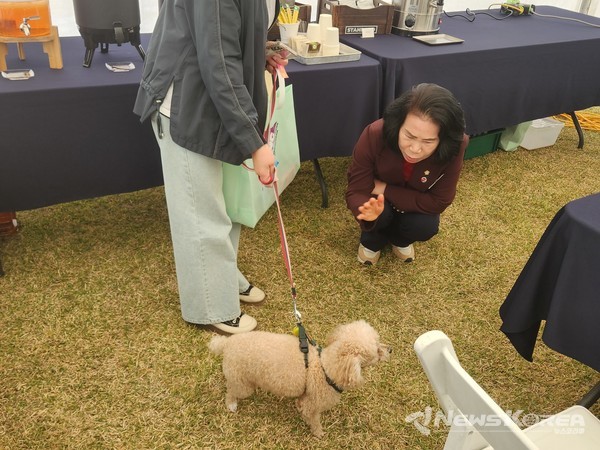 천안시민과 함께하는  K-DOG FESTIVAL 2025 행사장에서 김행금 천안시의회 의장이 참석한 견주의 애견에게 관심을 보이고 있다.  @뉴스코리아 김현미 기자