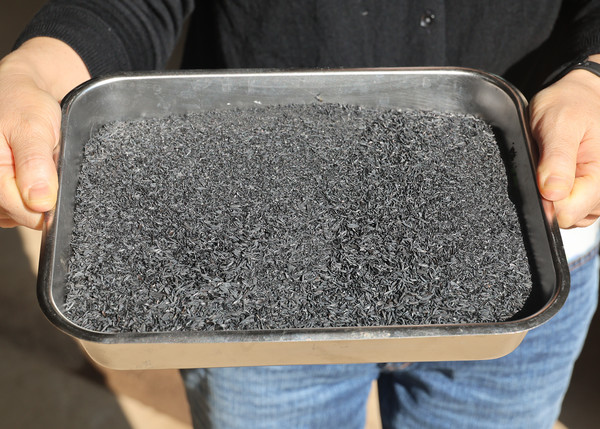 시연회에서 생산된 왕겨 바이오차 시료 모습.@충청남도