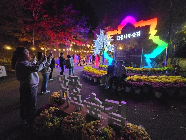 단풍나무숲길 힐링축제 @독립기념관