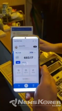 데메테르페이 지갑에 충전된 금액이 표시된 앱 화면. 여행자는 자국 통화를 충전해 현지 통화로 결제할 수 있다. @수임디엑스
