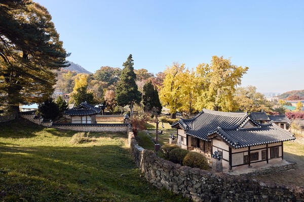 맹씨행단 @아산시