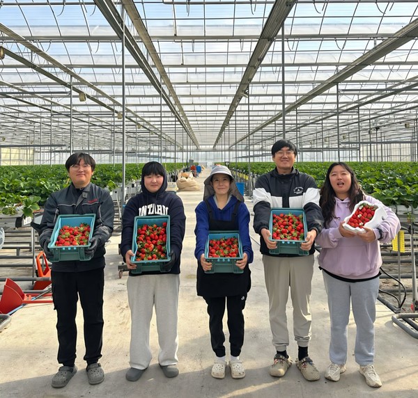스마트팜사관학교 B동에서 첫 수확한 딸기를 들어 보이며 기념 촬영을 하고 있는 청년농업인들. @당진시