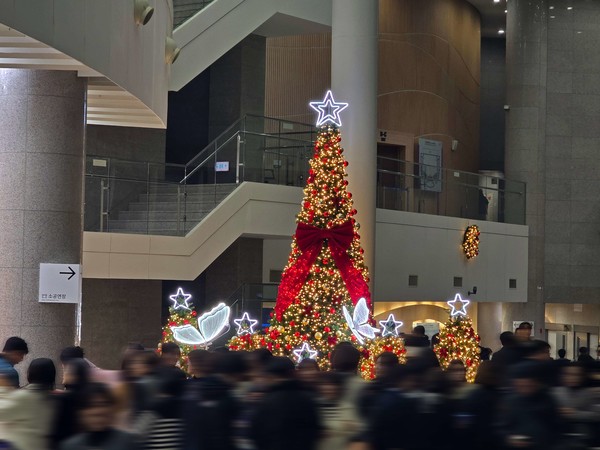 천안예술의전당이 크리스마스를 맞아 대형트리를 설치했다. @천안시