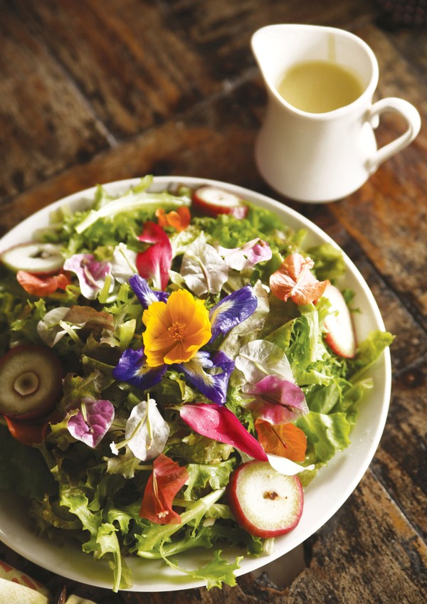 비팜 버즈 레스토랑 @필리핀 관광부