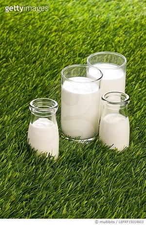[칼럼] 우유에 관한 불편한 진실 < 칼럼 < 오피니언 < 기사본문 - 세계속의 한국뉴스  NEWS KOREA